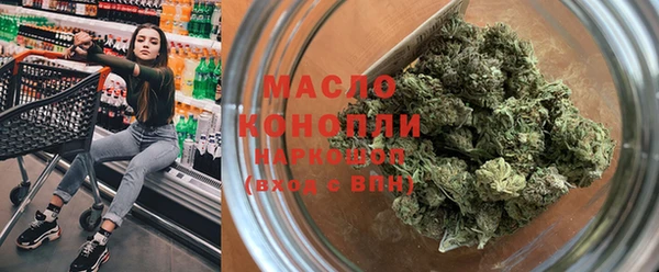 индика Армянск