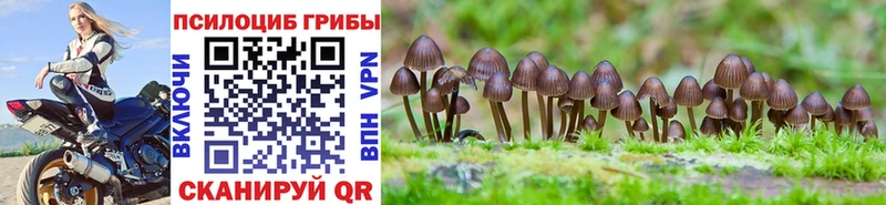 Псилоцибиновые грибы MAGIC MUSHROOMS  Долгопрудный 