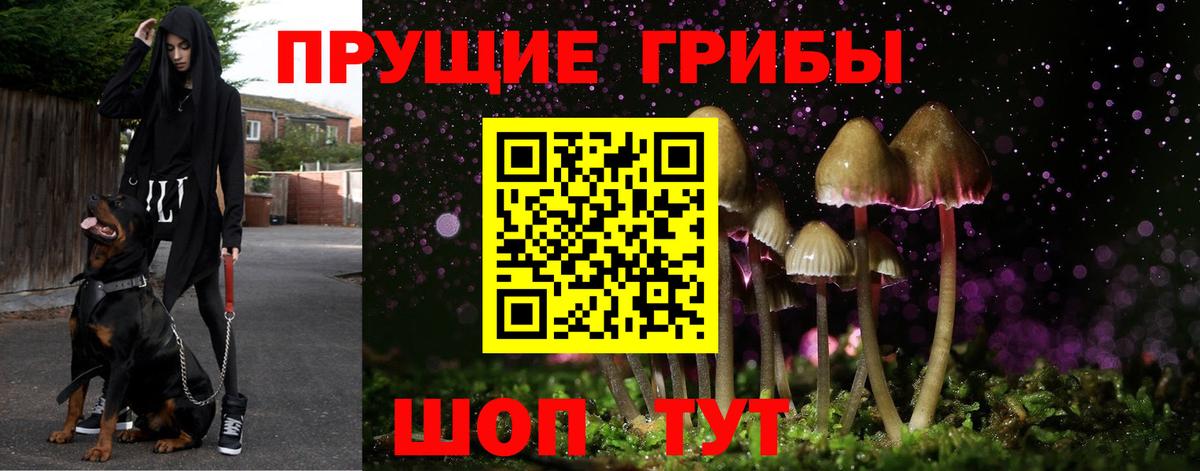 Псилоцибиновые грибы Cubensis  Галлюциногенные грибы Psilocybe  Долгопрудный  Вход с VPN 